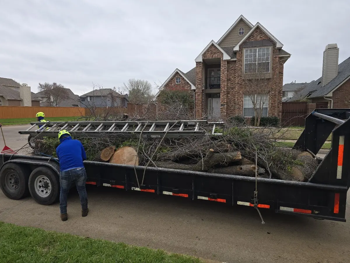 Expert Tree Fertilization with proper safety equipment in Higgins Lake